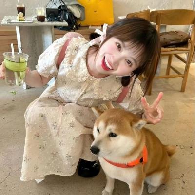 鸡犬不宁